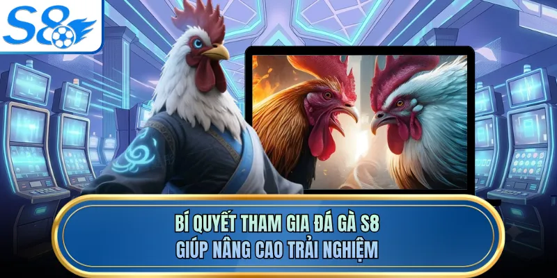 Bí quyết tham gia đá gà S8 giúp nâng cao trải nghiệm