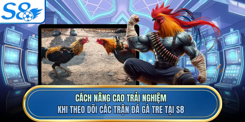 Cách nâng cao trải nghiệm khi theo dõi các trận đá gà tre tại S8
