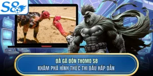 Đá Gà Đòn Thomo S8 - Khám Phá Hình Thức Thi Đấu Hấp Dẫn