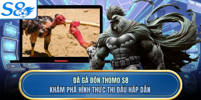 Đá Gà Đòn Thomo S8 - Khám Phá Hình Thức Thi Đấu Hấp Dẫn
