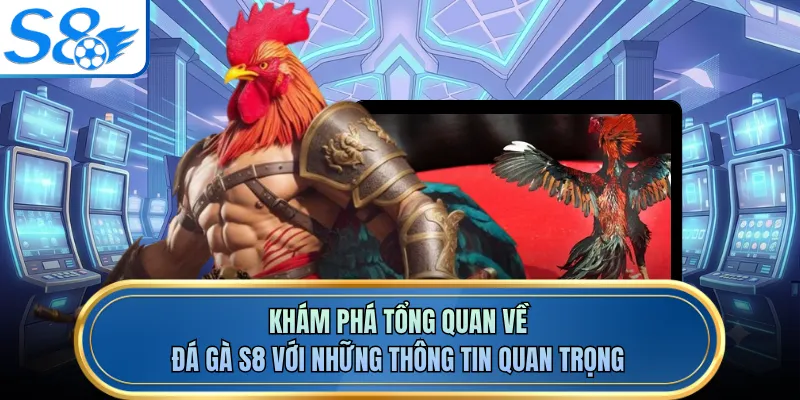 Khám phá tổng quan về đá gà S8 với những thông tin quan trọng