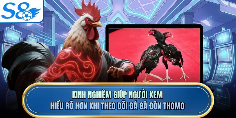 Kinh nghiệm giúp người xem hiểu rõ hơn khi theo dõi đá gà đòn Thomo
