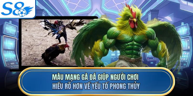 Màu mạng gà đá giúp người chơi hiểu rõ hơn về yếu tố phong thủy