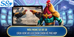 Màu Mạng Gà Đá S8 - Cách Xem Và Lựa Chọn Chiến Kê Phù Hợp