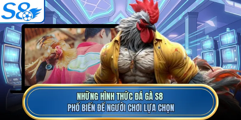 Những hình thức đá gà S8 phổ biến để người chơi lựa chọn