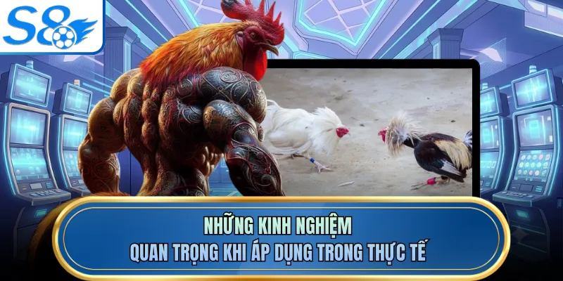 Những kinh nghiệm quan trọng khi áp dụng trong thực tế