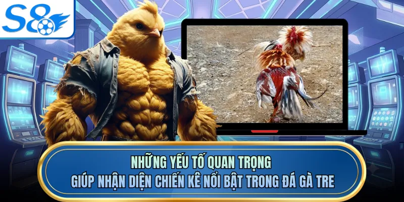 Những yếu tố quan trọng giúp nhận diện chiến kê nổi bật trong đá gà tre