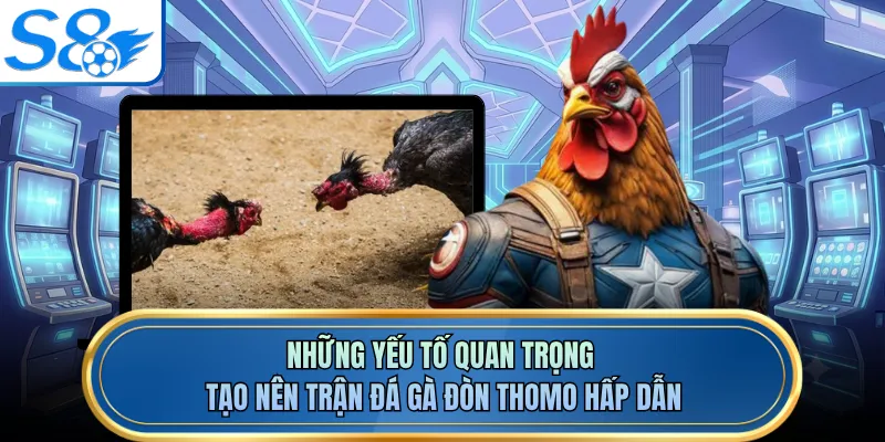 Những yếu tố quan trọng tạo nên trận đá gà đòn Thomo hấp dẫn