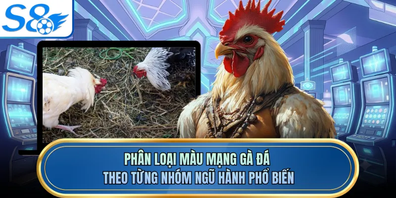 Phân loại màu mạng gà đá theo từng nhóm ngũ hành phổ biến